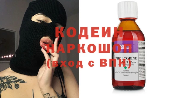 сатива Арсеньев