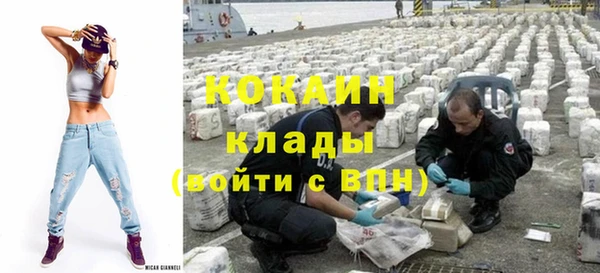 сатива Арсеньев