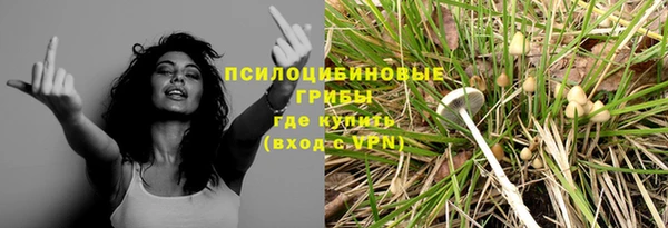 сатива Арсеньев