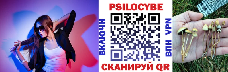 Галлюциногенные грибы Psilocybe  Опочка 